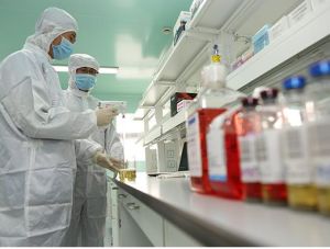 幹細胞製劑製備與質檢行業標準(試行) 幹細胞製劑製備與質檢行業標準(試行)