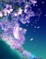 四王的命定新娘 四王的命定新娘