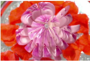 《愛的階梯》洋蔥求婚梗