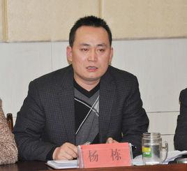 楊棟[南宋參知政事]