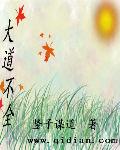 大道不全