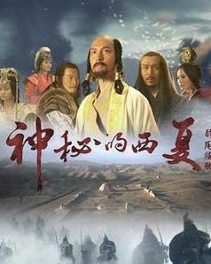 神秘的西夏 神秘的西夏