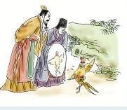 山雞照影 山雞照影