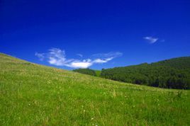 千松壩國家森林公園 千松壩國家森林公園