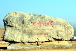 中華槐園 中華槐園