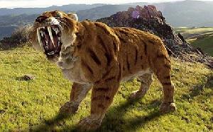 偽齒獸科 偽齒獸科