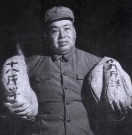 許世友反革命集團案 許世友反革命集團案