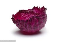 食品天然著色劑