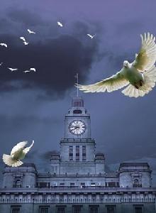 夢想的天空 夢想的天空