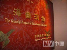 海曲漢墓 海曲漢墓