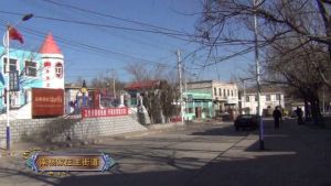 南楊家莊村[山西省運城市鹽湖區安邑街道下轄村]