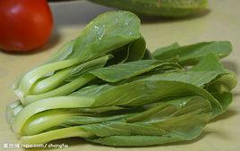 油菜[北方地區稱油菜或小油菜]