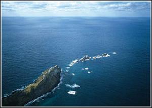 上海川崎食品有限公司 上海川崎食品有限公司