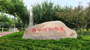 桑乾河植物園 桑乾河植物園