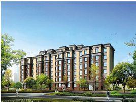 盈科梧桐山畔 盈科梧桐山畔