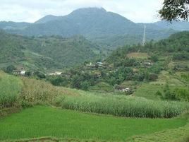 大嶺自然村 大嶺自然村