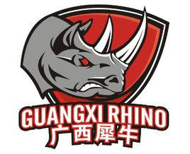 廣西威壯籃球俱樂部 廣西威壯籃球俱樂部