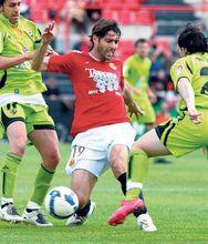 戴維&middot;鮑薩