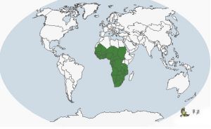 白頭麥雞分布圖