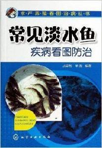 常見淡水魚疾病看圖防治 常見淡水魚疾病看圖防治