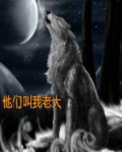 他們叫我老大 他們叫我老大