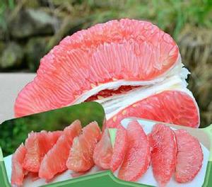 國宴紅心柚 國宴紅心柚