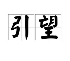 引望 引望
