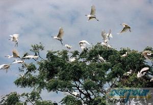 廈門珍稀海洋物種自然保護區