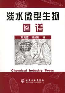 大口瞬目蟲是自然野生物種，屬於原生動物門的生物。