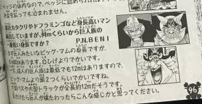 巨人族[日本動漫《海賊王》中的種族]