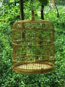 鳥籠