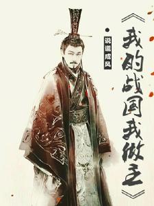 我的戰國我做主 我的戰國我做主