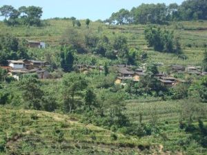 茨壩林村 茨壩林村