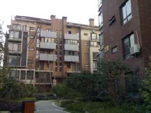 新星小區 新星小區