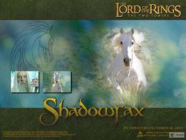 米亞拉斯神駒 米亞拉斯神駒