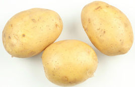 Potato