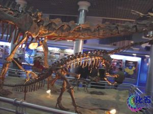 許氏祿豐龍化石