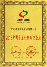 2013年中國自主創新百強企業