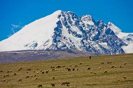 帕里草原 帕里草原
