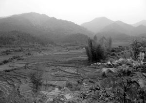 石獅嶺伏擊戰 石獅嶺伏擊戰