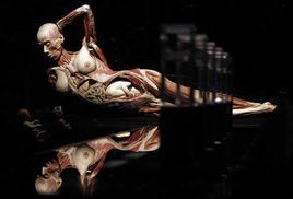 《人體世界》 《人體世界》