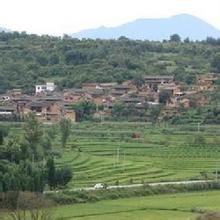 醫官莊村 醫官莊村