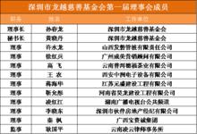 深圳市龍越慈善基金會