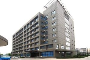 金自天正 金自天正