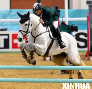 賽馬專業碩士 賽馬專業碩士