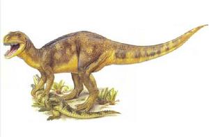 斑龍[蜥形綱動物]