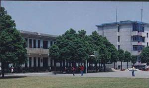 魯塘鎮中心學校 魯塘鎮中心學校