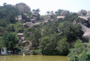 桑浦清暉 桑浦清暉