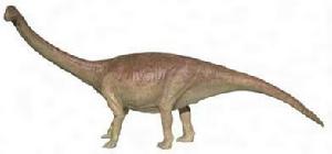 武定昆明龍 武定昆明龍