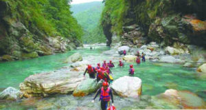 森林溯溪 森林溯溪